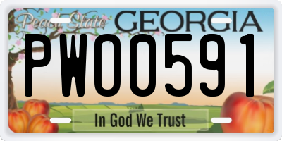 GA license plate PWO0591