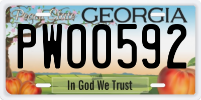 GA license plate PWO0592