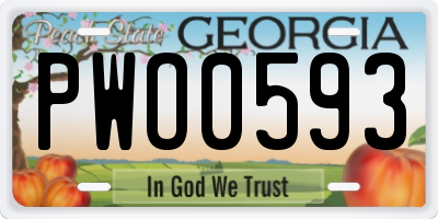 GA license plate PWO0593