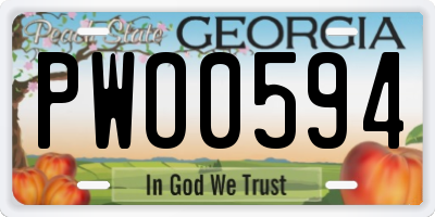 GA license plate PWO0594
