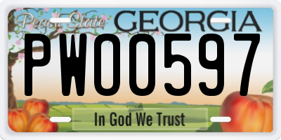 GA license plate PWO0597