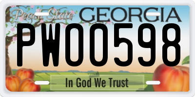 GA license plate PWO0598