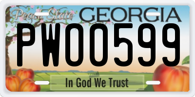 GA license plate PWO0599