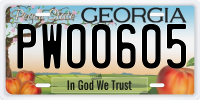 GA license plate PWO0605