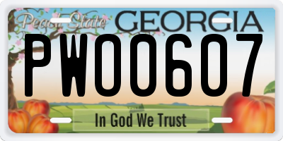 GA license plate PWO0607