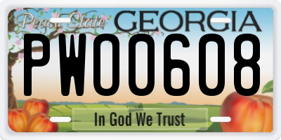 GA license plate PWO0608