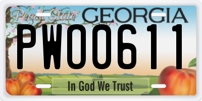 GA license plate PWO0611