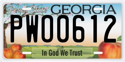 GA license plate PWO0612