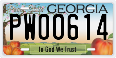 GA license plate PWO0614