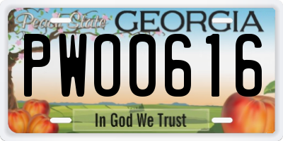 GA license plate PWO0616