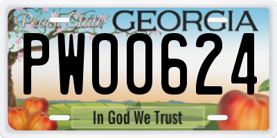 GA license plate PWO0624