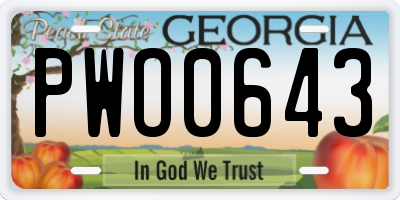 GA license plate PWO0643