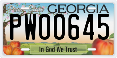 GA license plate PWO0645