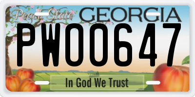 GA license plate PWO0647
