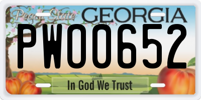 GA license plate PWO0652