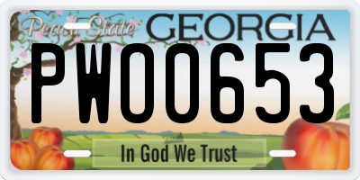 GA license plate PWO0653