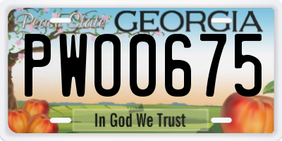 GA license plate PWO0675