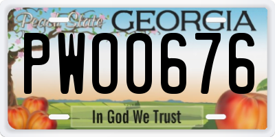 GA license plate PWO0676