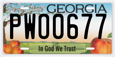 GA license plate PWO0677