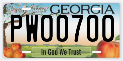 GA license plate PWO0700