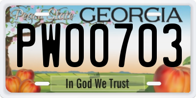 GA license plate PWO0703
