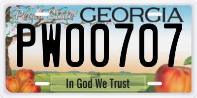 GA license plate PWO0707