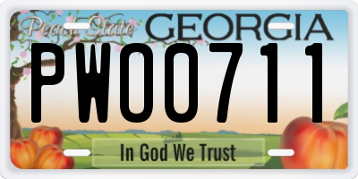 GA license plate PWO0711