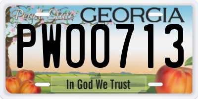 GA license plate PWO0713