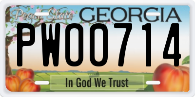 GA license plate PWO0714