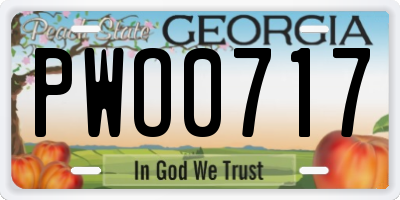 GA license plate PWO0717
