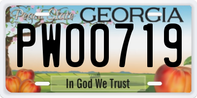 GA license plate PWO0719