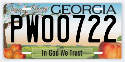 GA license plate PWO0722