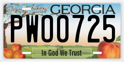 GA license plate PWO0725