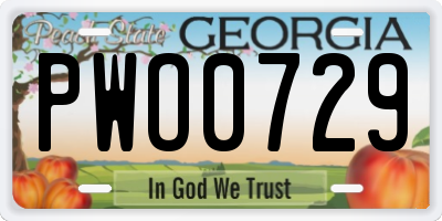 GA license plate PWO0729