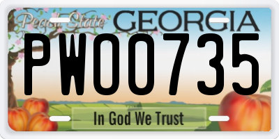 GA license plate PWO0735