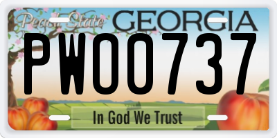 GA license plate PWO0737