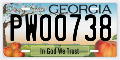 GA license plate PWO0738