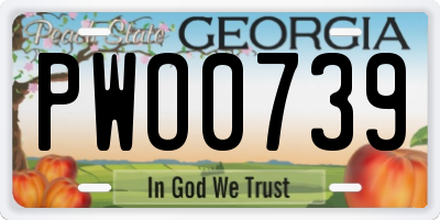GA license plate PWO0739