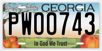 GA license plate PWO0743