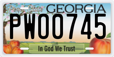 GA license plate PWO0745