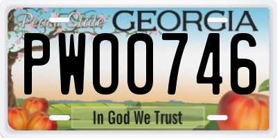GA license plate PWO0746