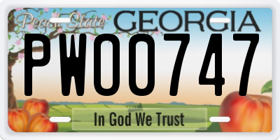 GA license plate PWO0747