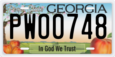 GA license plate PWO0748