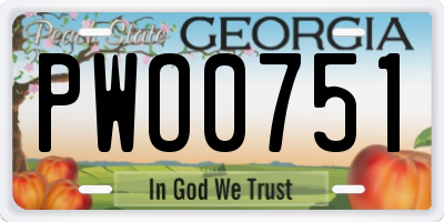 GA license plate PWO0751