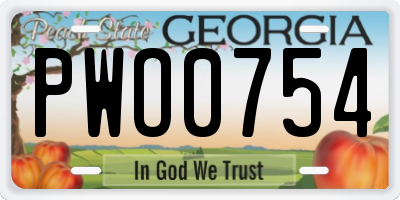 GA license plate PWO0754