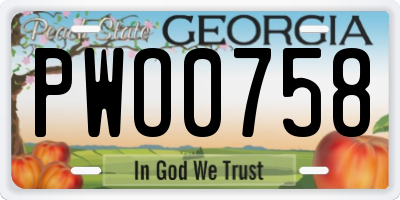 GA license plate PWO0758