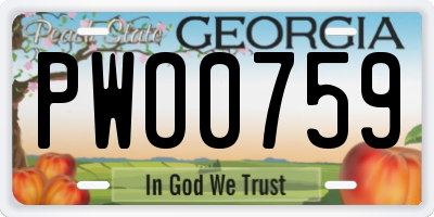 GA license plate PWO0759