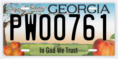 GA license plate PWO0761