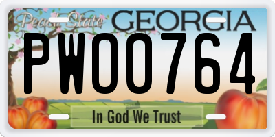 GA license plate PWO0764
