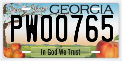GA license plate PWO0765